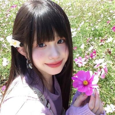 完美拍档2017